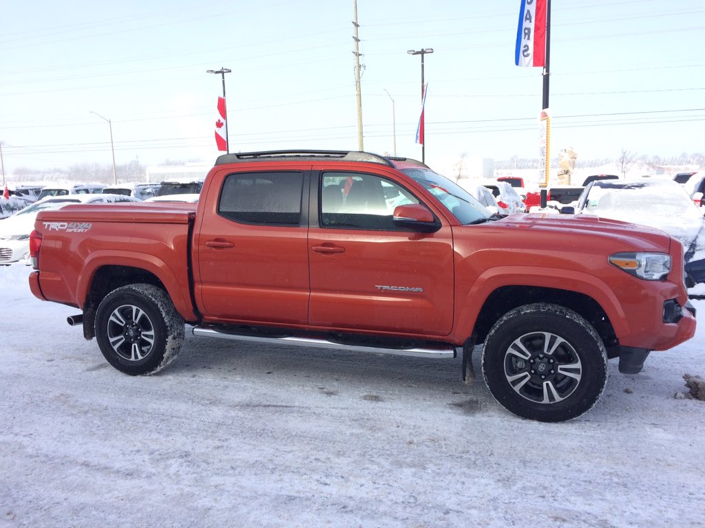 GoLeafsGoEh's tweet image. Final accessories added + 5 feet of snow  #Winterized