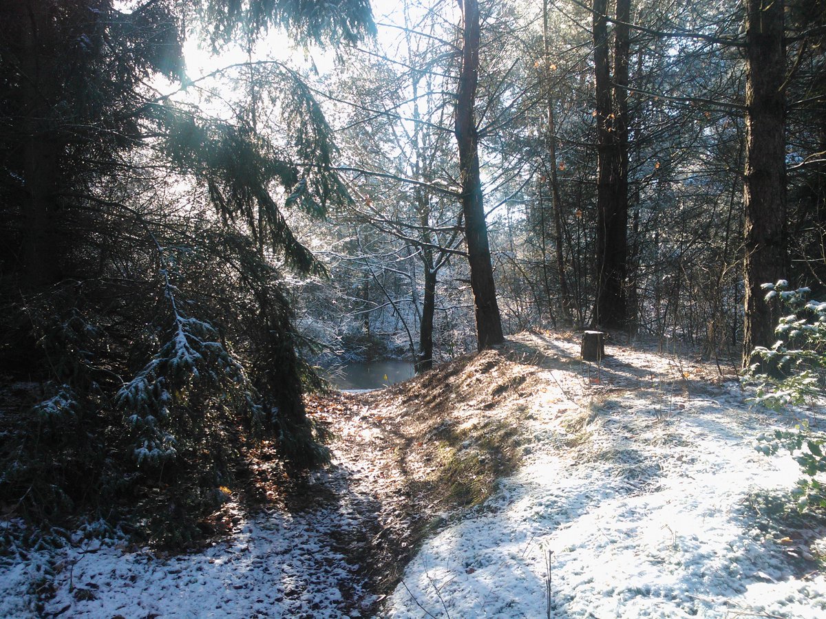 MontaroDidam's tweet photo. In Belgie zag het er dit weekend  zo uit. Mooi maar wel koud. https://t.co/ZkXgZoPze0