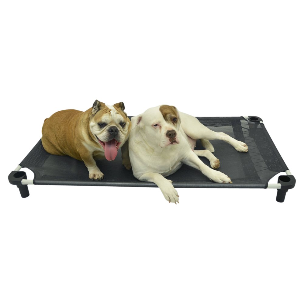 4Legs4Pets's tweet photo. @hprworkingdogs Thank you for becoming a @4Legs4Pets buyer!   #petcot #petbed #dogcot #dogbed #dogtraining https://t.co/Sr4JNOsWnD