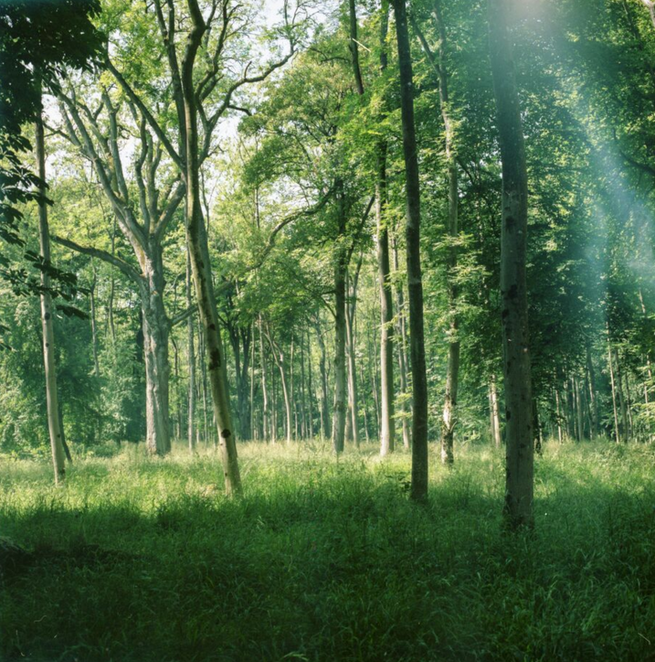 A day in the wilderness...