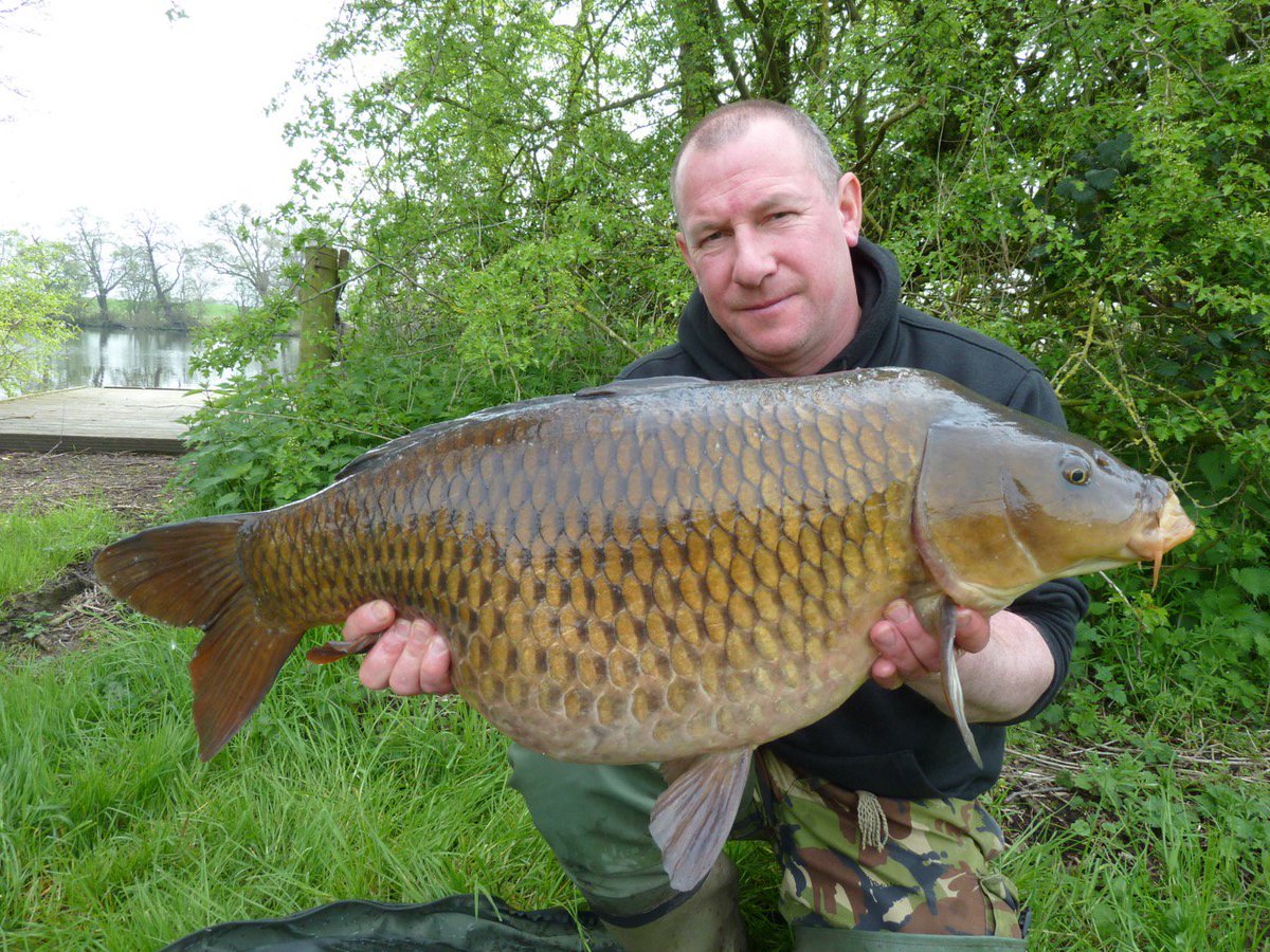 We have further strengthened Team Avid with the addition of Ellis Brazier - piltd.co.uk/BD3Sq9