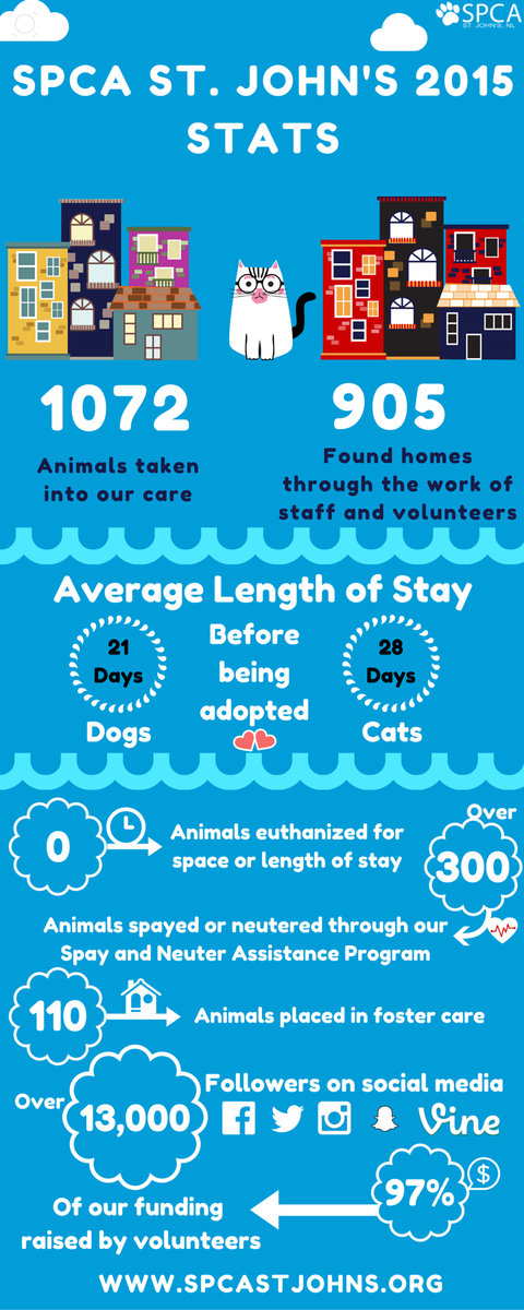 SPCAStJohns's tweet photo. We are happy to release our stats for 2015 &amp; are hard at work to find more ways to help companion animals in 2016! https://t.co/vt4qDJlGfm