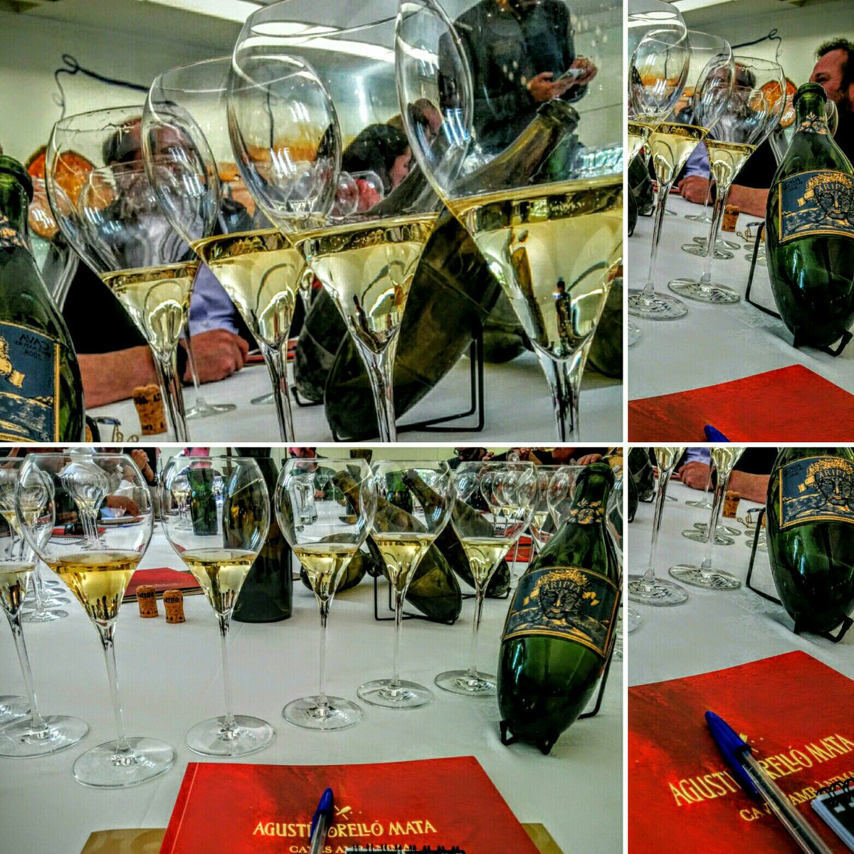 CellerKripta's tweet photo. Cata vertical de #Kripta's #Kripta1996 #Kripta2000 #Kripta2003 #Kripta2006 #Kripta2008! @ATM_Cava https://t.co/bQqgwF2hsf