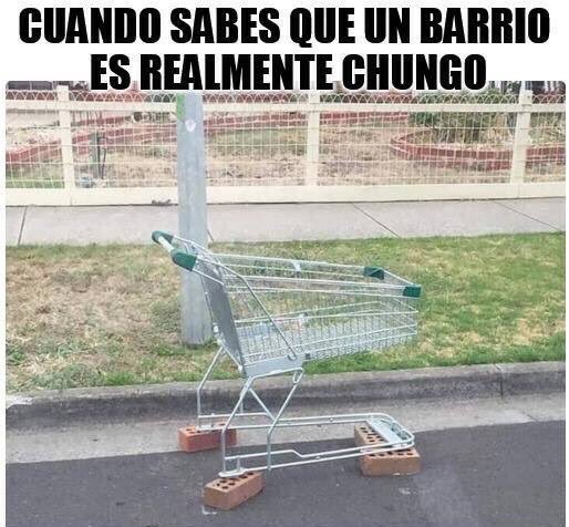 en_maceta's tweet image. #PremiosVlogger #PV08 RT Y LO SABES