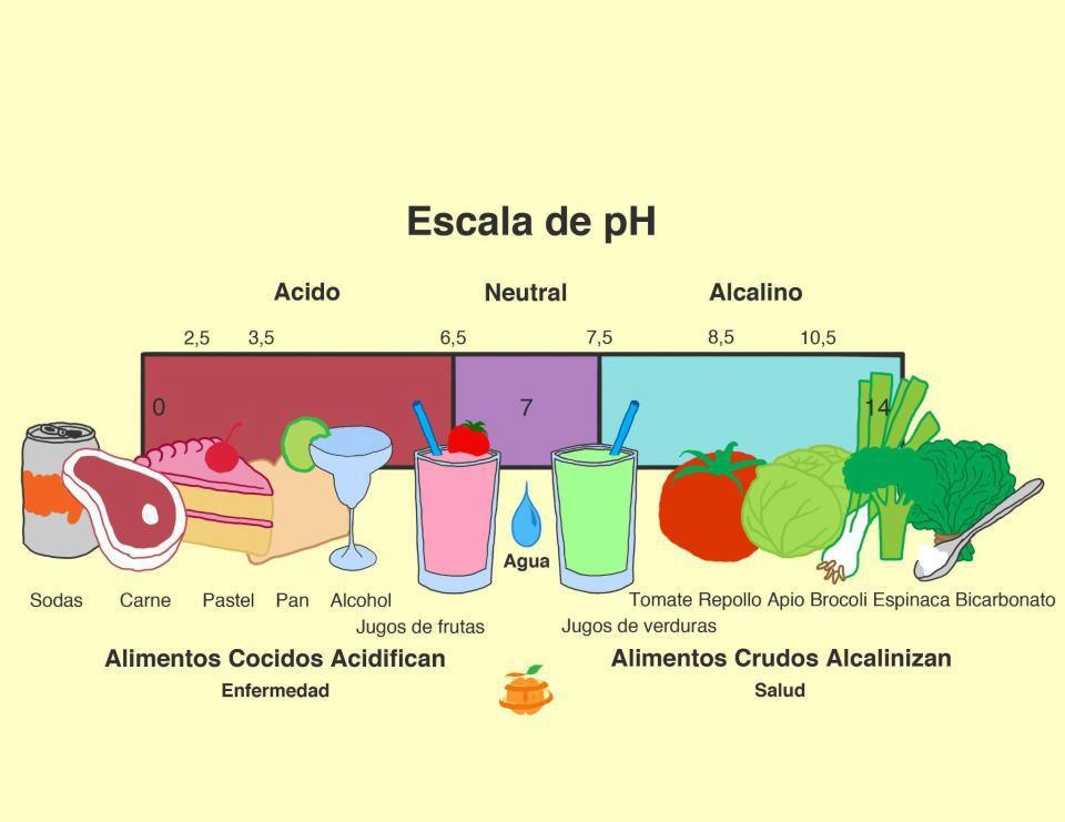 alcohol70o's tweet photo. Ejemplos d alimentos acidos y alquilinos.Lo ideal es comer un alimento acido por 3 alcalinos.https://t.co/rRwgSEZV4D https://t.co/60FhHFkEq3