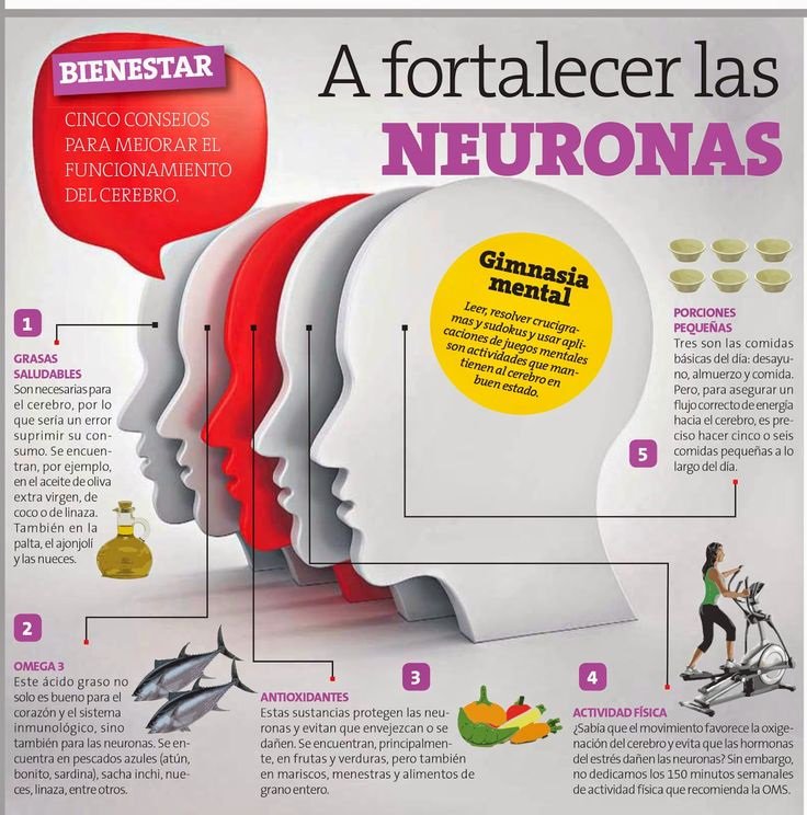 EscuelaMemoria's tweet photo. 5 Consejos para mejorar el funcionamiento de nuestro cerebro.
FELIZ SEMANA!!
#memoria https://t.co/Qw3lR7GZeu