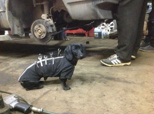BonhamChrysler2's tweet photo. When your toolbox comes to you!  @billyg67 @ZimmerChrysler @CntryChrysler @ColeCDJR  @Harrauto @AdventureCJDR https://t.co/5ByL7IsLI2