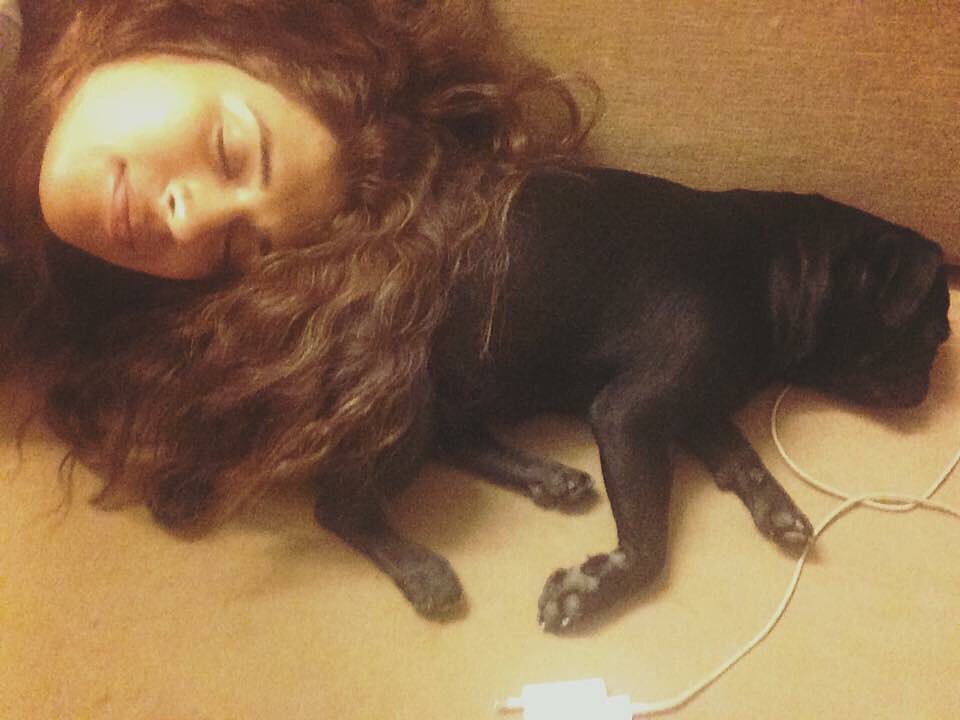 shraddhadas43's tweet image. Bliss :)