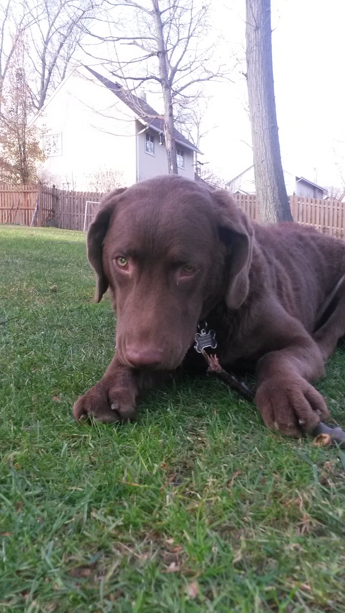 David Ruppert tweet media