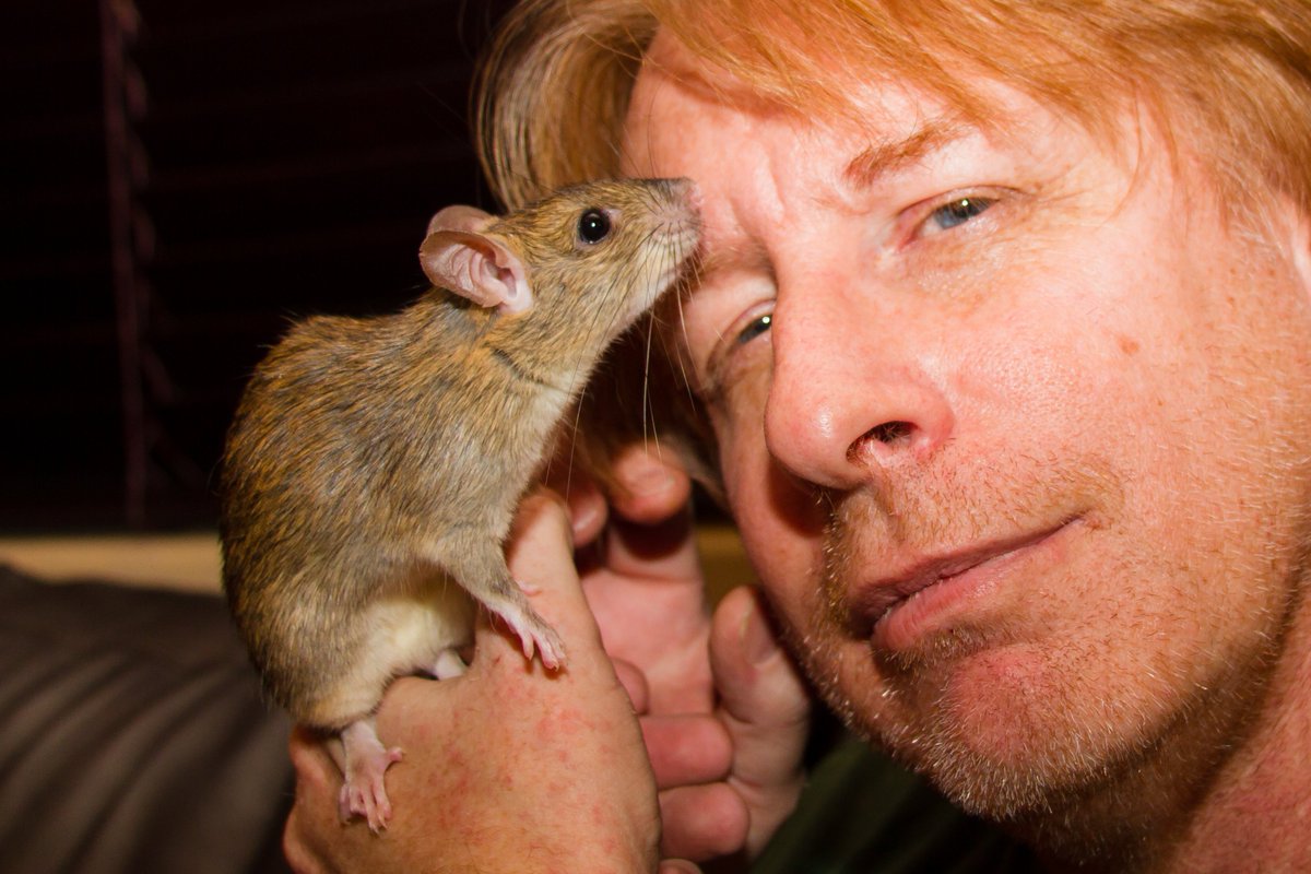 Kevin Grazier 🐀 tweet media