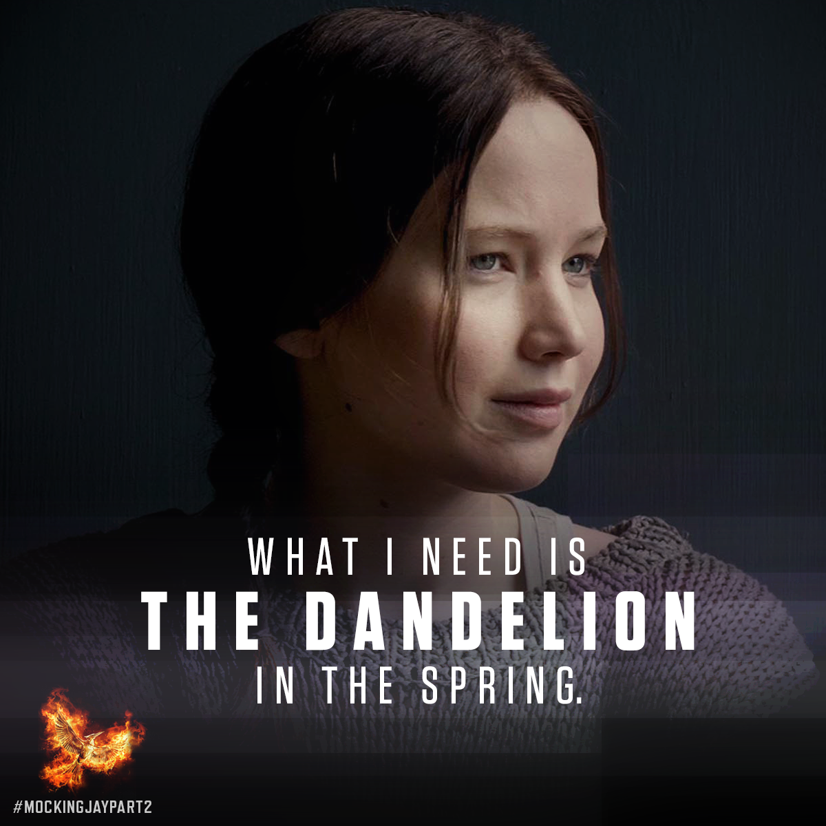 TheHungerGames tweet picture