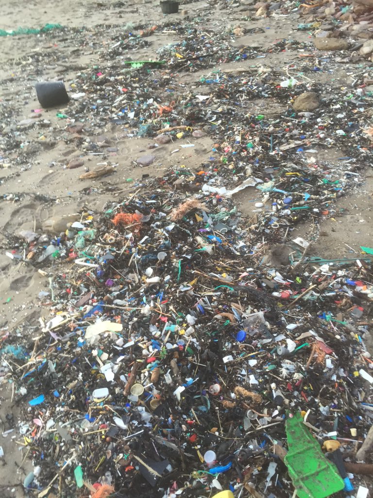 TregantleBeach's tweet photo. Not plastic fantastic https://t.co/SXUiNU3XrA