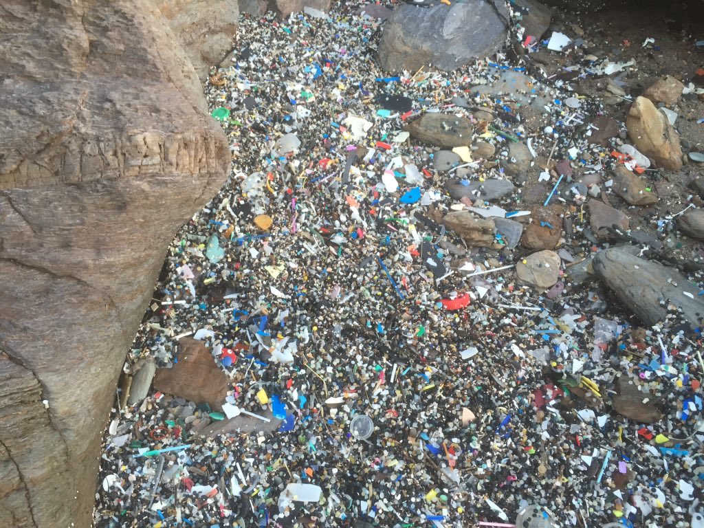 TregantleBeach's tweet photo. Not plastic fantastic https://t.co/SXUiNU3XrA