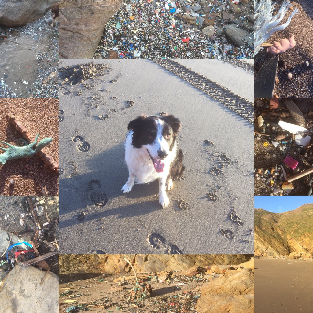 TregantleBeach's tweet photo. Not plastic fantastic https://t.co/SXUiNU3XrA