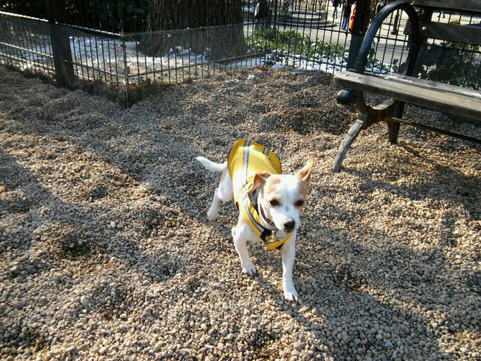 I'm at Union Square Park - @nycparks in New York, NY https://t.co/7ZD8wPQq1I https://t.co/hUYE12Sleh<a class="tags" target="_blank" title="On Twitter" href="/?out=eyJ0eXAiOiJKV1QiLCJhbGciOiJIUzUxMiJ9.eyJpYXQiOjE3MjUyODQ0NTYsImlzcyI6InR3cG9ybnN0YXJzLmNvbSIsIm5iZiI6MTcyNTI4NDQ1NiwiZXhwIjoxNzU2ODIwNDU2LCJyZWRpcmVjdF91cmwiOiJodHRwczovL3R3aXR0ZXIuY29tL255Y3BhcmtzIn0.pcYXysyu-wdVGctxV7myZJfJlt2a898gealLXl6B3s3dtcVmpceCcDiCAry75MkFlKbXtZ3M-RBGYj0oUR-wCA">@nycparks</a><a href="/tag/sex"class="tags"><span>#sex</span></a><a href="/tag/tranny"class="tags"><span>#tranny</span></a><a href="/tag/lesbian"class="tags"><span>#lesbian</span></a><a href="/tag/transbian"class="tags"><span>#transbian</span></a>