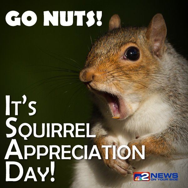 WGRZ's tweet photo. There's even a day for squirrels.  Who knew? https://t.co/On9tOHJWeh