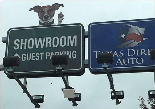 barcodesinc's tweet image. Texas Direct Auto Manages Vehicles Via #RFID -bit.ly/1W3RCLG