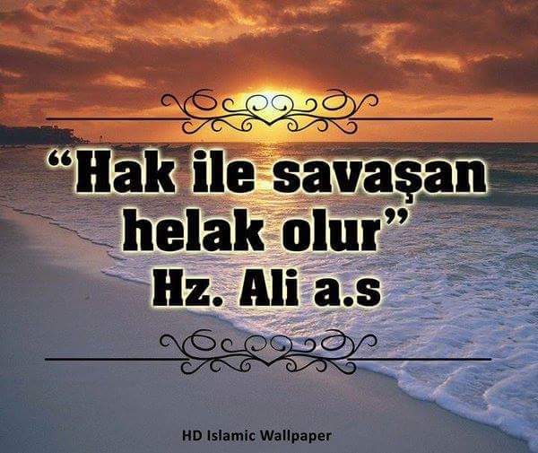 yorukkasim03's tweet photo. @FatihYagciResmi https://t.co/HchG2YSttG