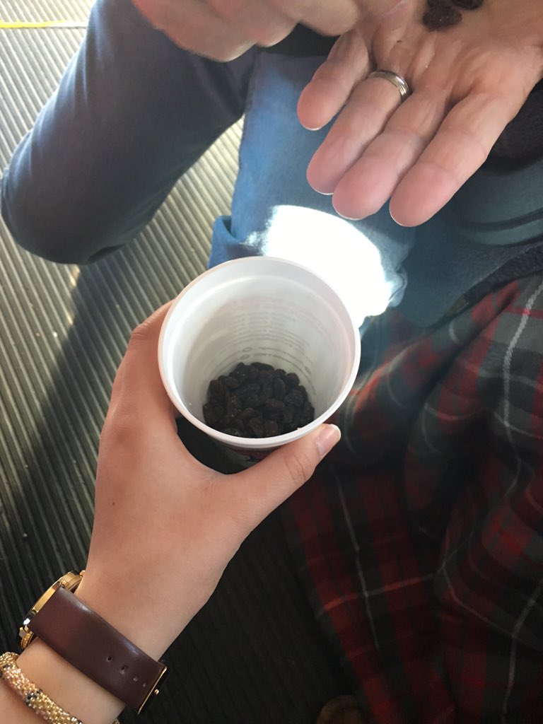 abbyglenn_143's tweet image. When you&apos;re bored on the way home from winterspree and count all 164 raisins from a bag of trail mix #spree16