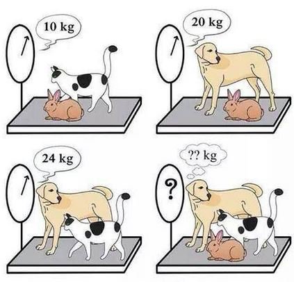 soymatematicas's tweet photo. A mis alumnos cada vez les gusta más el álgebra ... 😜  #matematicas #educacion https://t.co/iHfuch3h0r