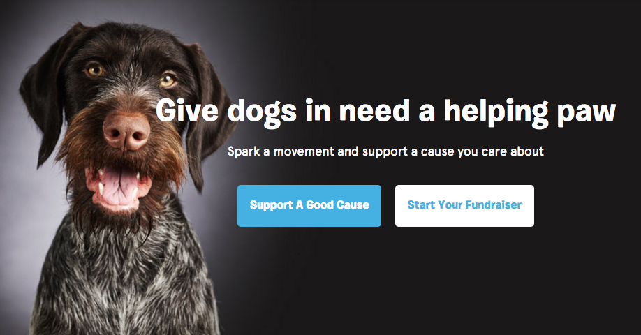 BarkPost tweet picture