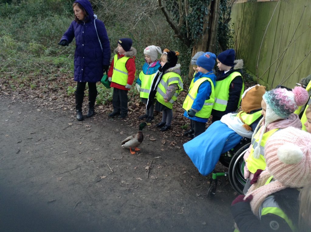 ClassSimmonds's tweet photo. We had a lovely walk through Little Wood on a chilly morning today #community @HamfordPrimary https://t.co/pVl2i9jE6E