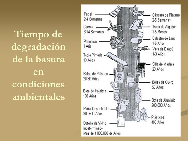 MinPPTT_NE's tweet photo. MT:#RECUERDE su deber como ciudadano en la protección d los espacios, evite arrojar basura Vía MPPTTOPDCAPITAL https://t.co/8jwupVh4qt