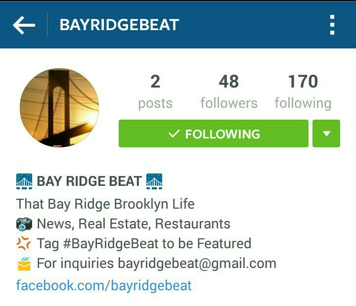 Bay Ridge Beat tweet media