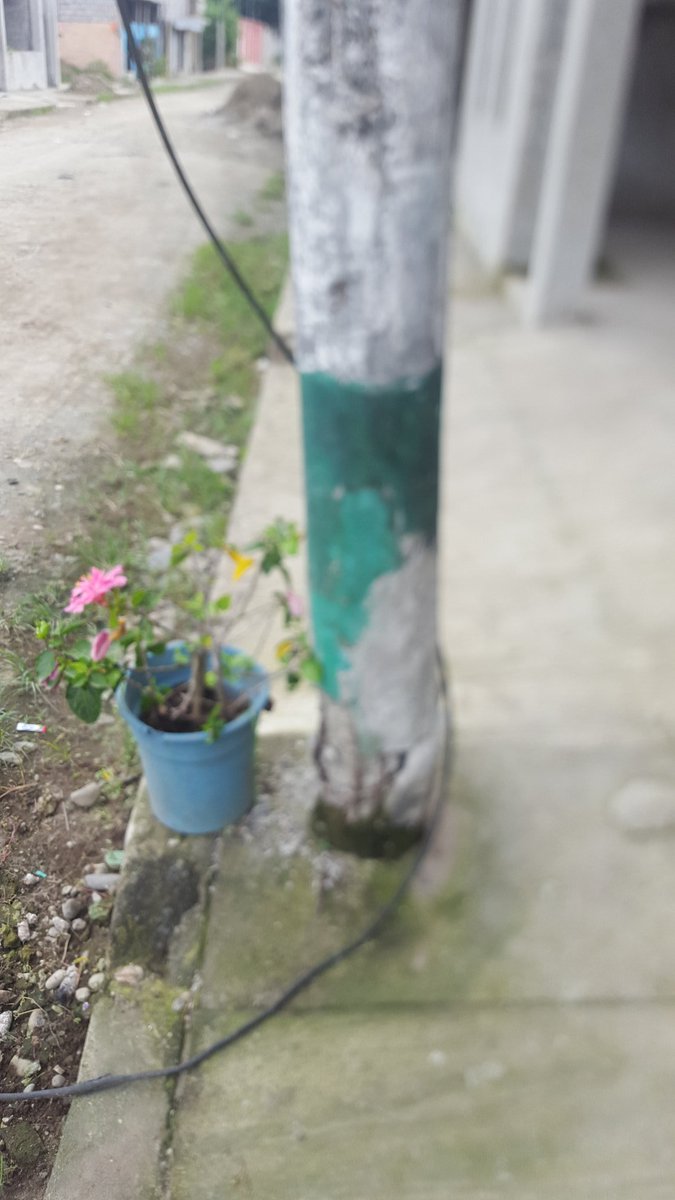 AbrahamAALH's tweet photo. Habitantes hemos solicitado el cambio de poste de alumbrado eléctrico por mal estado y no hay respuestas @CNEL_EP https://t.co/V1M0f3seCy