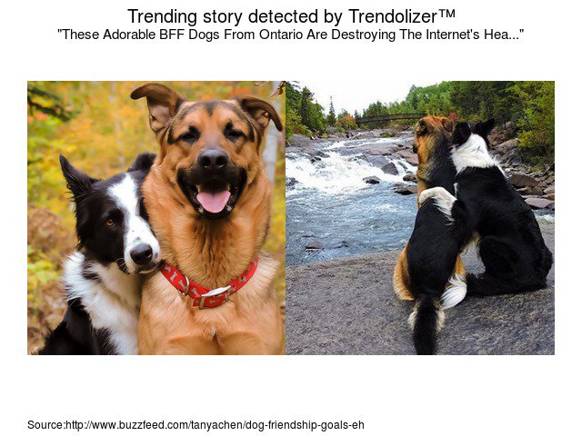 Animalolizer's tweet image. These Adorable BFF Dogs From #Ontario Are Destroying The Internet's Heart #BuzzFeedCanada animals.trendolizer.com/2016/01/these-…