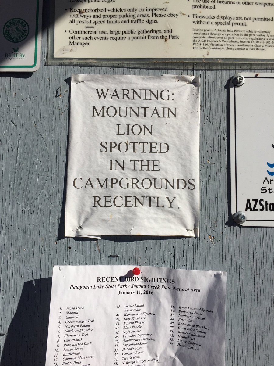 Kari Vermivora Twitter Images, Photos, Reviews