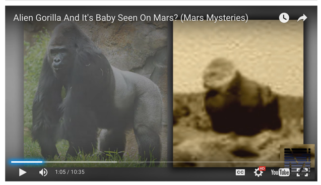 can... can we stop this?