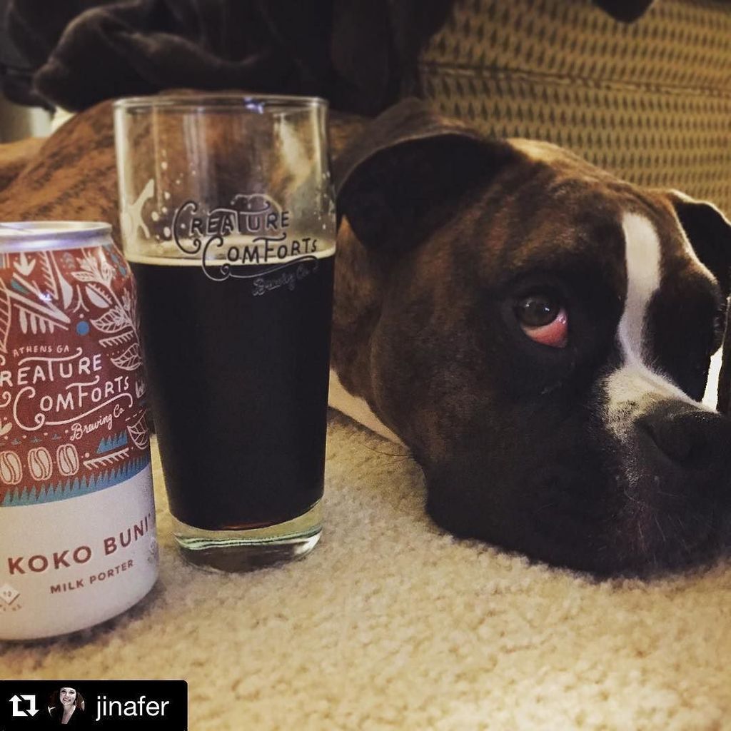 creaturebeer's tweet photo. This is our latest #cozycreatures winner! Enter to win CCBC swag every week by tagging #cozycreatures in your @cre… https://t.co/JHWy2EBGJM