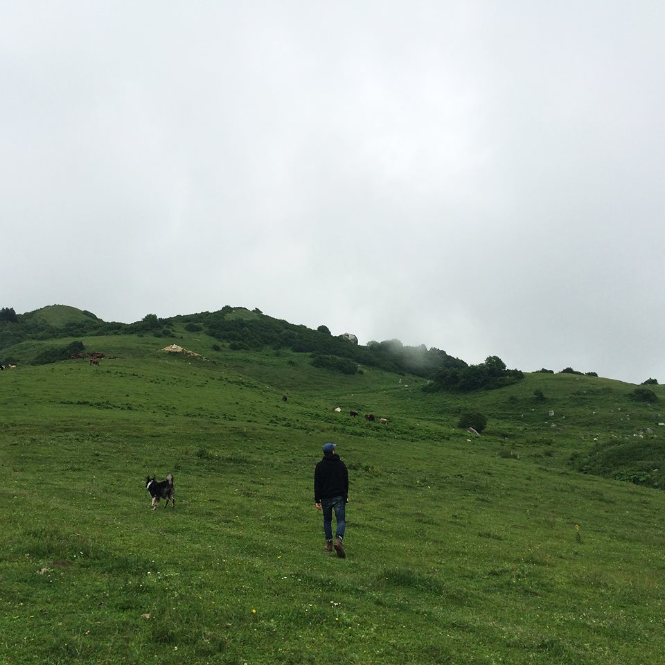 TheWeekId's tweet image. HVL – Liquify theweekid.com/hvl-liquify/