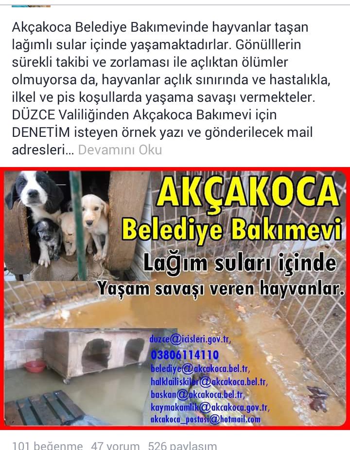 <a href="/ACILLRetweet/">❤️ ACİL Retweet 🐾</a> <a href="/akcakocaonline/">Akçakoca Online</a> <a href="/Akcakoca_Bel/">Akçakoca Belediyesi</a> <a href="/tunaarman1/">tuna arman</a> @dtakanoglu <a href="/ter/">TER</a> <a href="/masum_gozler/">Masum Gözler</a> <a href="/Sevg/">Severio Lee Gallo</a> <a href="/masum_gozler/">Masum Gözler</a> <a href="/BGHYHD/">Barınak Gönüllüleri</a>