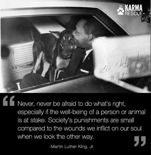 AlisterFx's tweet photo. Celebrating a #heros life today. #MartinLutherKingJr showed us the path to a future of equity&amp;hope. Lets build it <3 https://t.co/73LoSRE4uI
