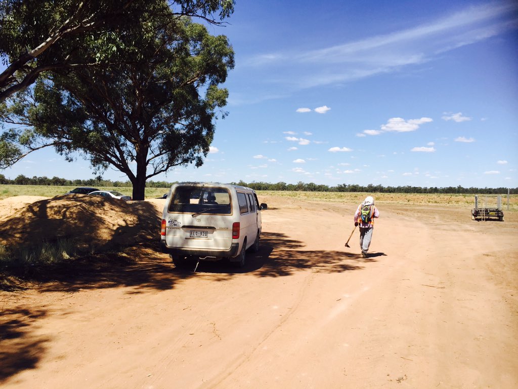#Narrandera Beautiful Weather in Narrandera 🌷🌷🌷
 @welcome2aussie <a href="/TheRural_/">The Rural</a>  <a href="/nona80_swanette/">Nona Rose</a> <a href="/MyNarrandera/">Narrandera</a>