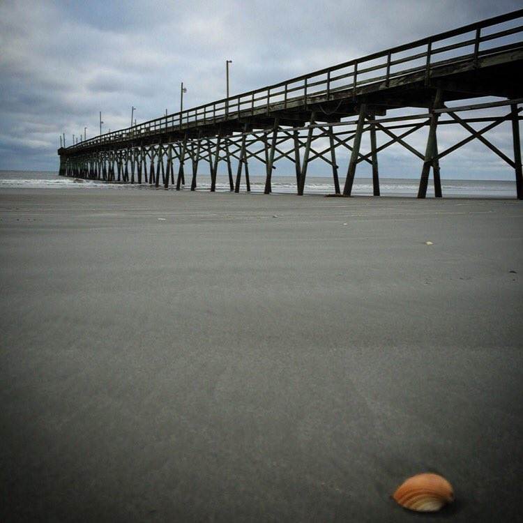 SunsetBeachTradingCo tweet media