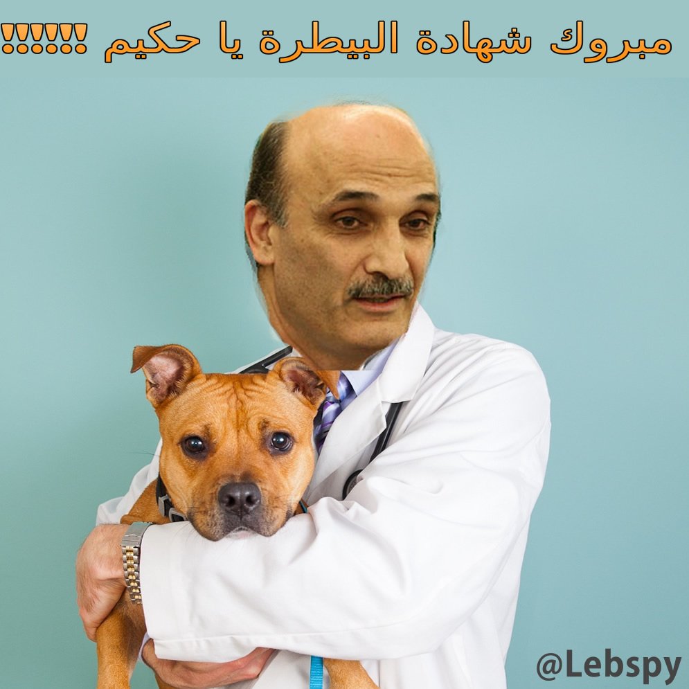 lebspy's tweet photo. مبروك شهادة البيطرة يا حكيم !! #جعجع #عون_راجع_عبعبدا #عون #سميرجعجع  #samir_geagea #lebanon #لبنان #لبنان_بلا_رئيس https://t.co/UJuGC93Tmy