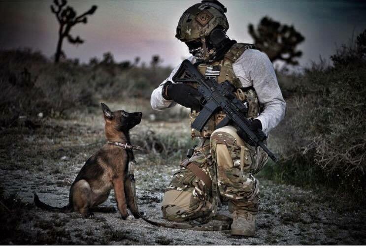 hprworkingdogs's tweet photo. https://t.co/4C9NeCtiYq