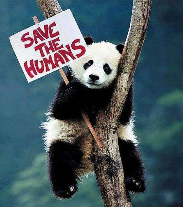 SoulStructures1's tweet photo. #human #animal #wwf https://t.co/bwTmkJa1kV