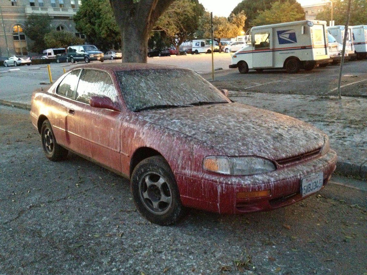 RecyledDad's tweet photo. #ComplainWithASong
Why do birds
keep shitting on my car
everytime
I'm parked far. https://t.co/wGI7xJDFx7