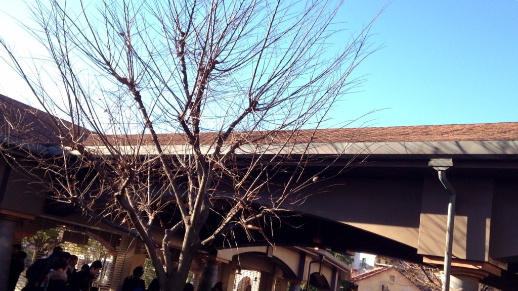 Ta4k_disney's tweet photo. シーでゲート待ち。いい天気でよかった！ https://t.co/fyL4yJlW0f