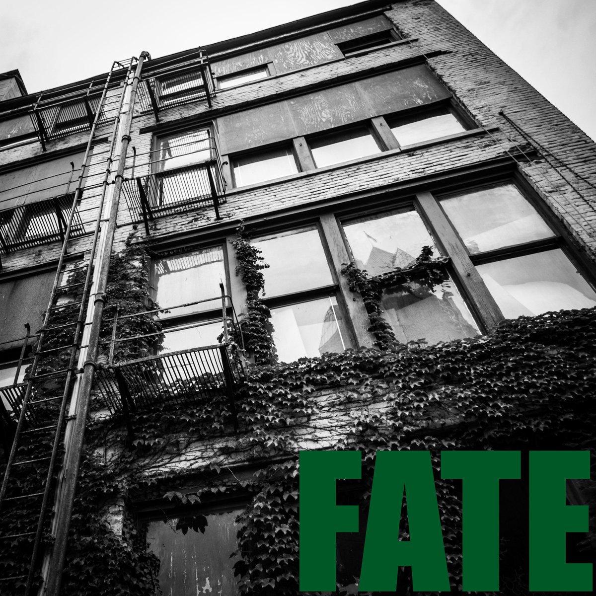 Atrophy2entropY's tweet photo. #fromatrophytoentropy #creeping #photography #FATE https://t.co/cu3E6ja7Yv