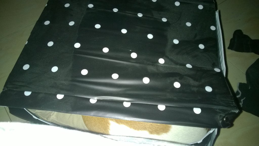 il_ciancio's tweet photo. Indovinate chi dorme in questa scatola, ai piedi del mio letto?(non si tratta del paradosso di Schrödinger) #fafridd https://t.co/EPEZypJXVH