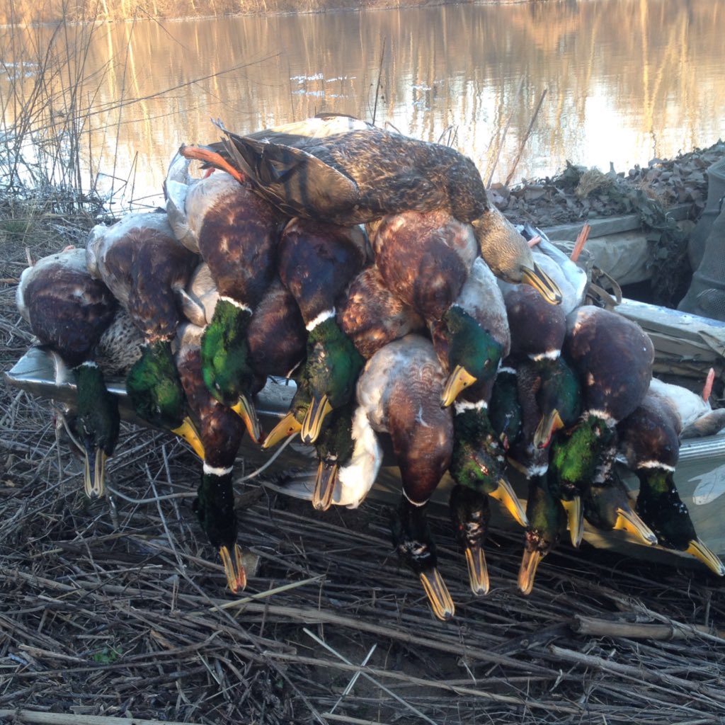 GregHalterman's tweet photo. 1-18-16 Green &amp; Black @FloydHalterman @Chalterman_20 @bocwin1 @KeithPAllen @BandedTWG @Tstanley91 @dpcoppage https://t.co/KNwRWpOBJN