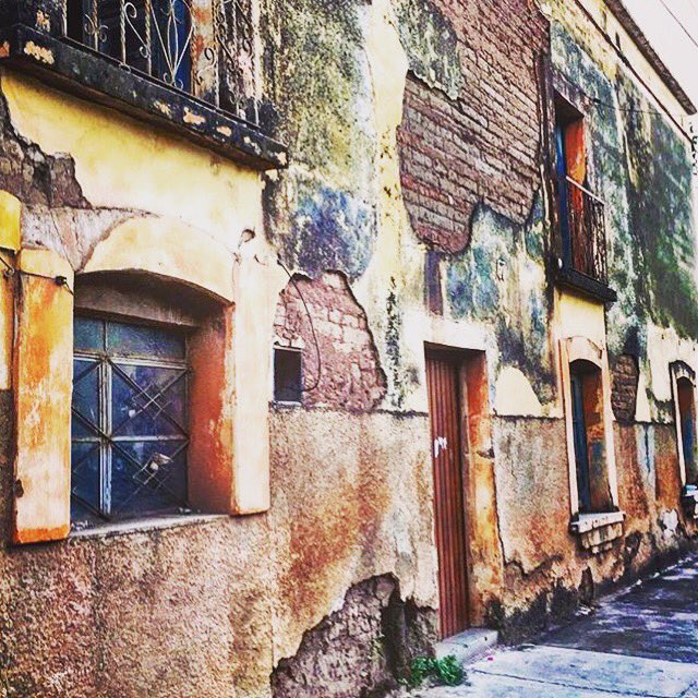 #mascotajalisco #venajalisco #jalisco