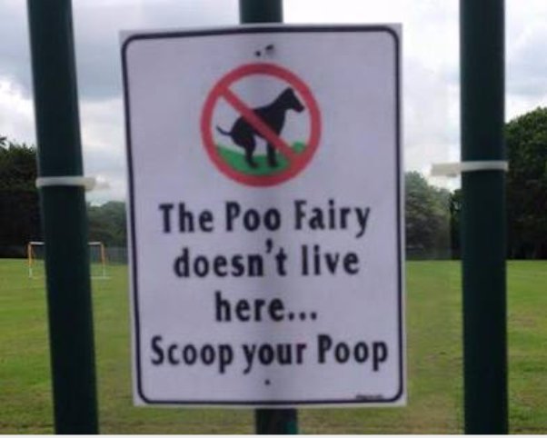 Poppy_MindDogAU's tweet photo. Need 1 of these at our local #DogPark...
#PooFaries don't exist 😇 https://t.co/mrsWoXTy0w