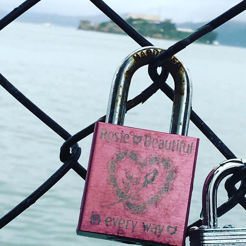 rosiestolken's tweet photo. Couldn't resist 😊 #alcatraz #alcatrazisland #padlock #flatered #sanfrancisco #fishermanswh… https://t.co/yEhPrMZ0pU https://t.co/f5JNoSaObM