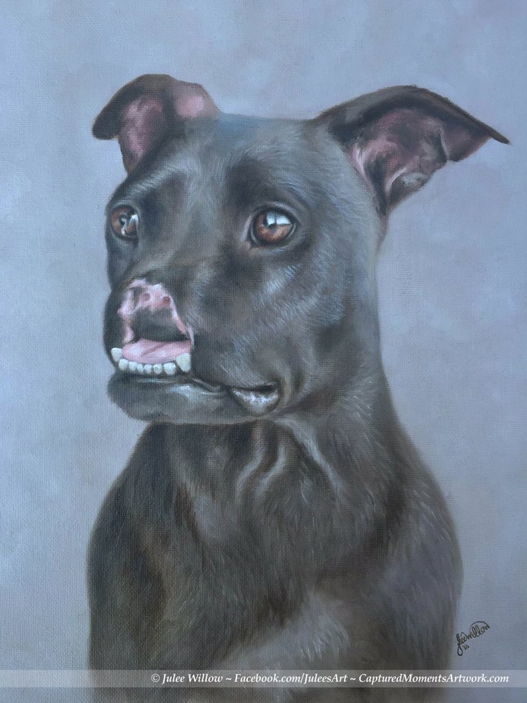 Can't wait to get the painting that <a href="/juleewillowart/">Julee Willow</a> painted of Khalessi! ❤️